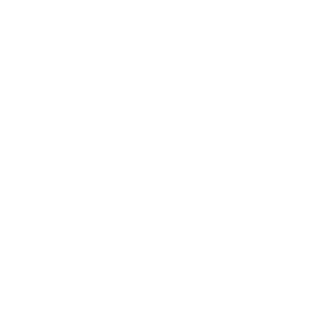 TRG_Surveillance Icon